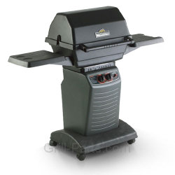 Great outdoor grill best sale